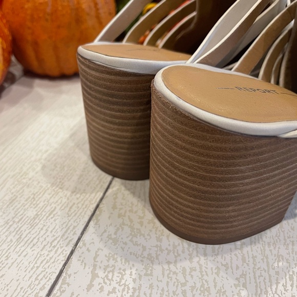 NWOB Report Tommy Mule - Picture 3 of 6